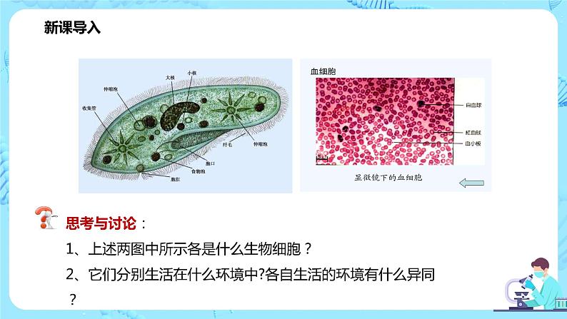 第一节《细胞生活的环境》课件+教案03