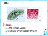 第一节《细胞生活的环境》课件+教案