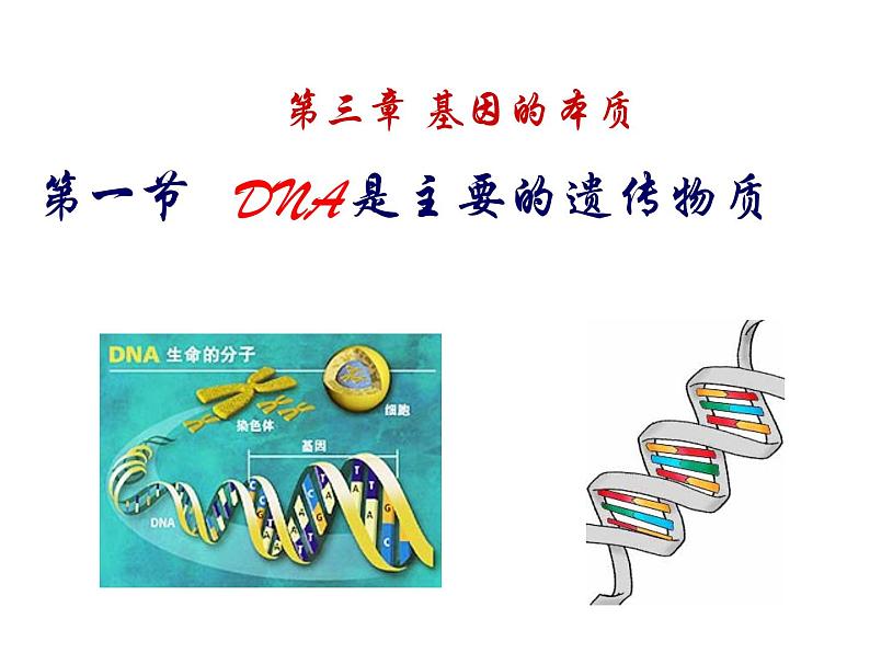 人教新课标高中生物必修二  3.1DNA是主要的遗传物质 课件01