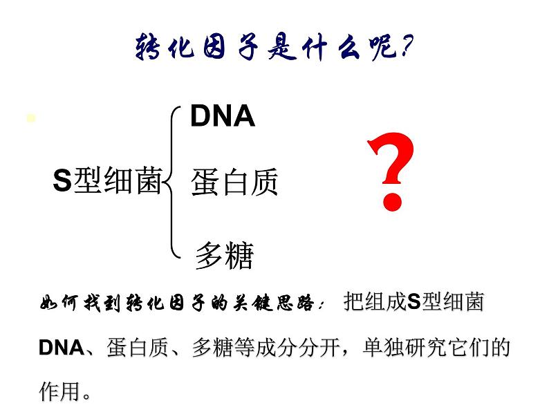 人教新课标高中生物必修二  3.1DNA是主要的遗传物质 课件08