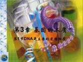 人教新课标高中生物必修二  3.1DNA是主要的遗传物质 课件