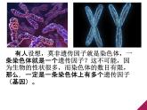 人教新课标高中生物必修二  3.1DNA是主要的遗传物质 课件