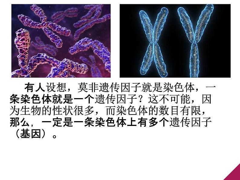 人教新课标高中生物必修二  3.1DNA是主要的遗传物质 课件04