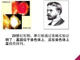 人教新课标高中生物必修二  3.1DNA是主要的遗传物质 课件