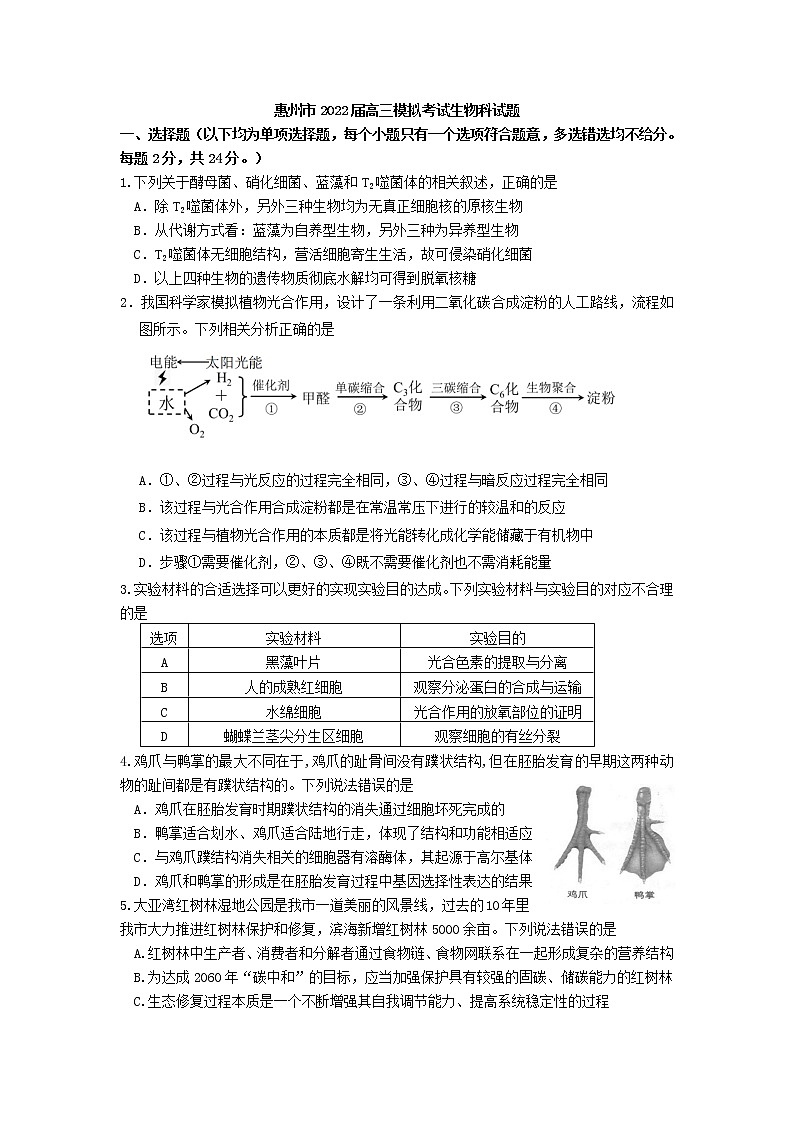 2022届广东省惠州市高三一模生物试题附答案01