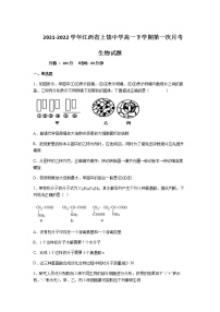 2021-2022学年江西省上饶中学高一下学期第一次月考生物试题含答案