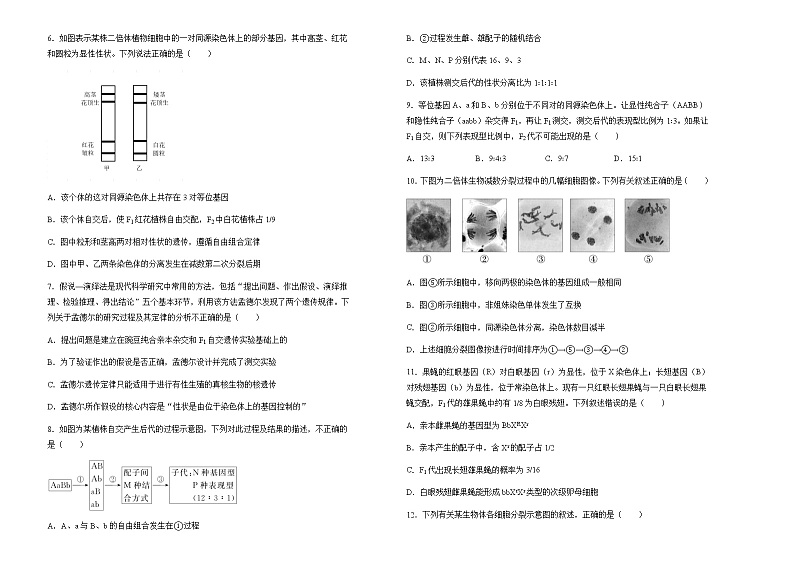 2021-2022学年福建省厦门第一中学高一下学期期中生物试题含答案02