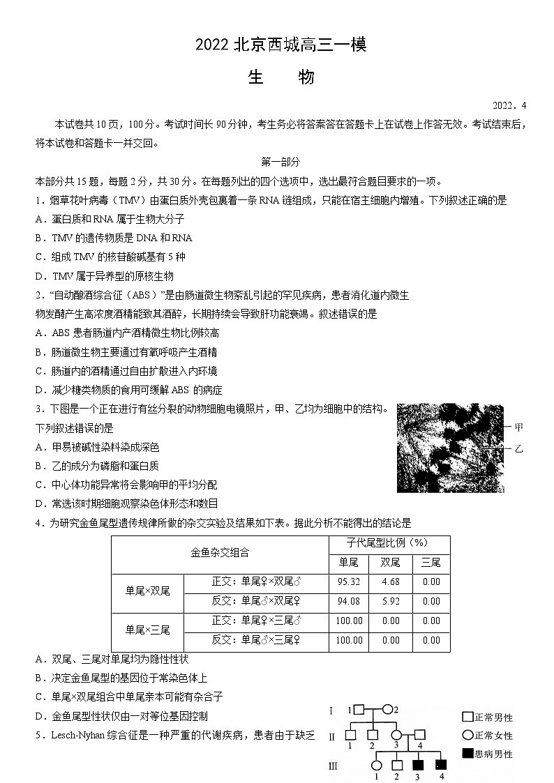 2022北京西城区高三下学期一模试题生物含答案第1页