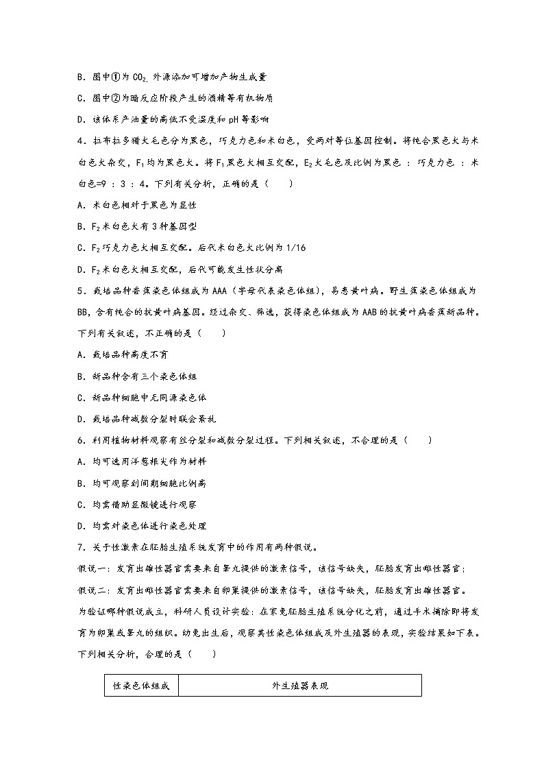 2022北京海淀区高三下学期一模考试生物试题含答案02