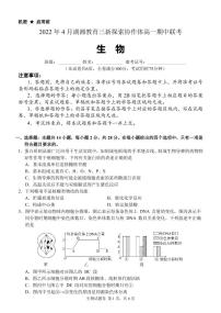 2022湖南省湖湘教育三新探索协作体高一下学期期中考试生物试题PDF版含答案