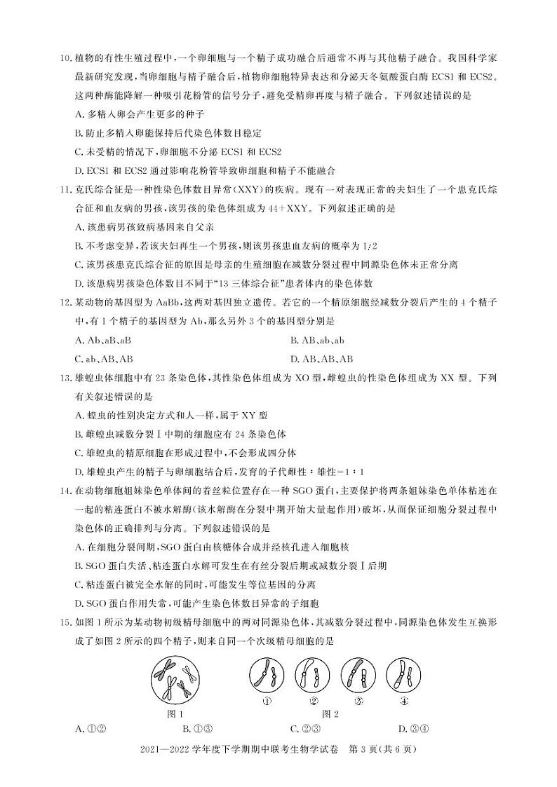 2022武汉部分重点中学高一下学期期中联考生物试题PDF版含答案03
