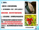 6.2《自然选择与适应的形成》课件PPT+教案