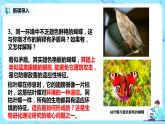 6.2《自然选择与适应的形成》课件PPT+教案