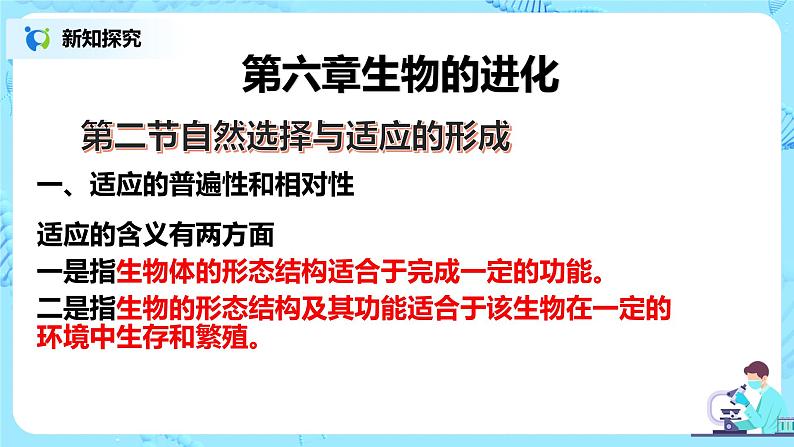 6.2《自然选择与适应的形成》课件PPT第4页