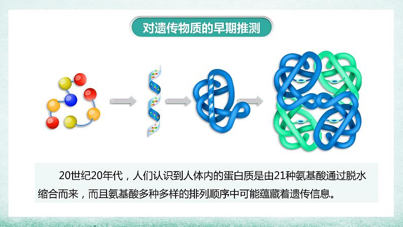 3.1DNA是主要的遗传物质(1)课件2021-2022学年高一下学期生物人教版必修204