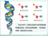 3.1DNA是主要的遗传物质(1)课件2021-2022学年高一下学期生物人教版必修2