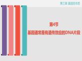 3.4基因通常是有遗传效应的DNA片段课件2021-2022学年高一下学期生物人教版必修2