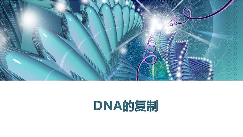 3.3DNA的复制课件2021-2022学年高一下学期生物人教版必修2第1页