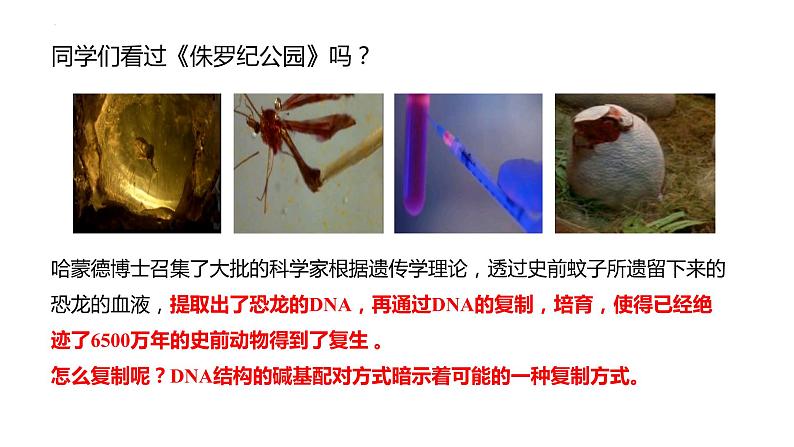 3.3DNA的复制课件2021-2022学年高一下学期生物人教版必修2第2页