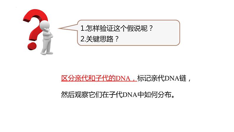 3.3DNA的复制课件2021-2022学年高一下学期生物人教版必修2第6页