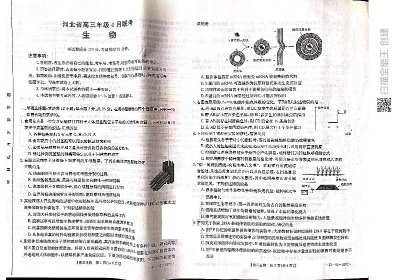2022秦皇岛高三下学期4月二模考试生物试题扫描版含答案01