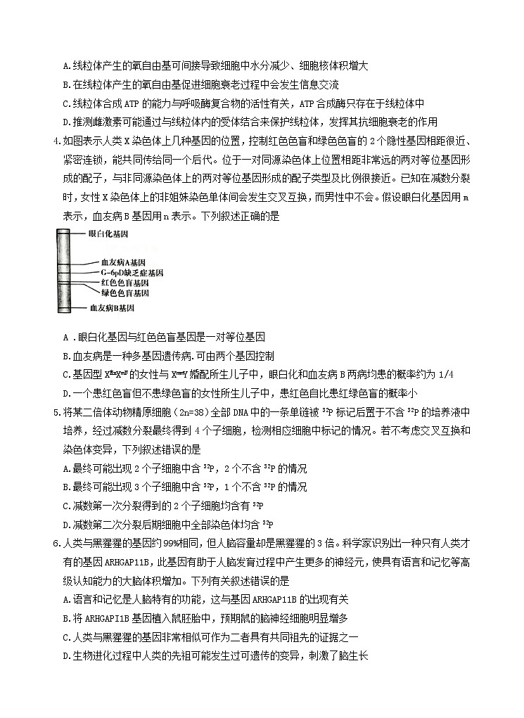 2022保定高三下学期一模考试生物试题含解析02