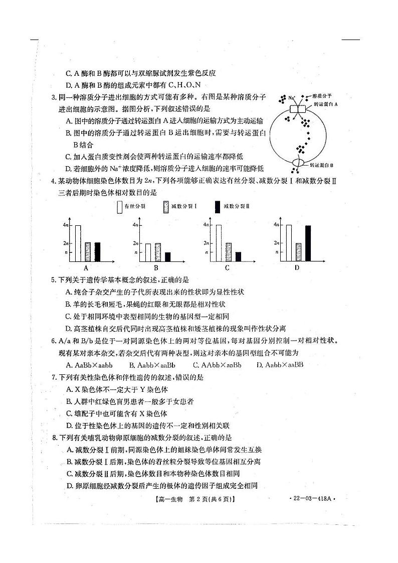2022湖南省百所学校高一下学期期中考试生物PDF版含答案02