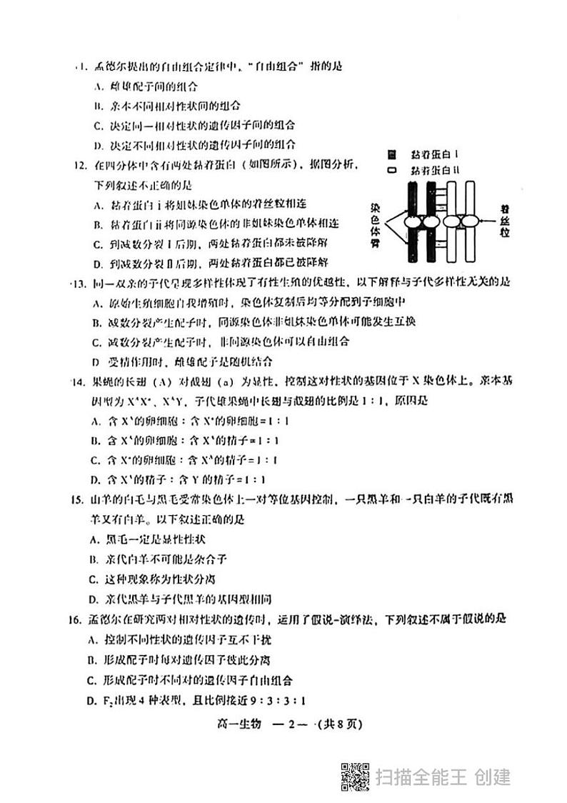 2022福州高一下学期期中质量抽测生物试题扫描版含答案02