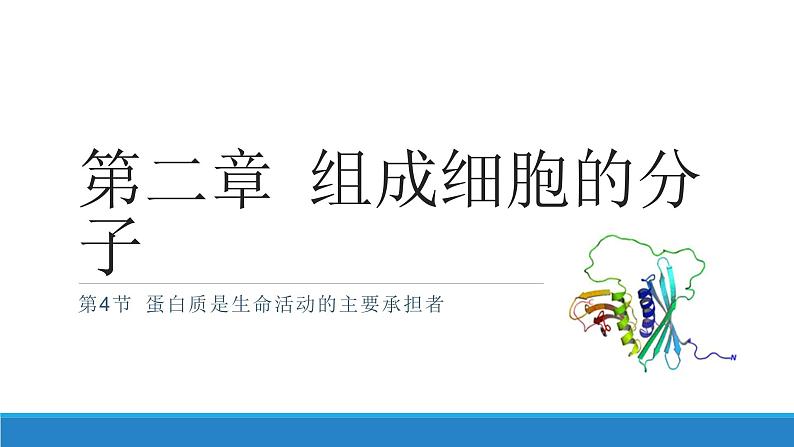 第二章 第4节蛋白质是生命活动的主要承担者课件PPT第1页