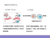 第三章 第1节细胞膜的结构和功能课件PPT