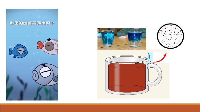 第四章 第1节被动运输（1）课件PPT第2页