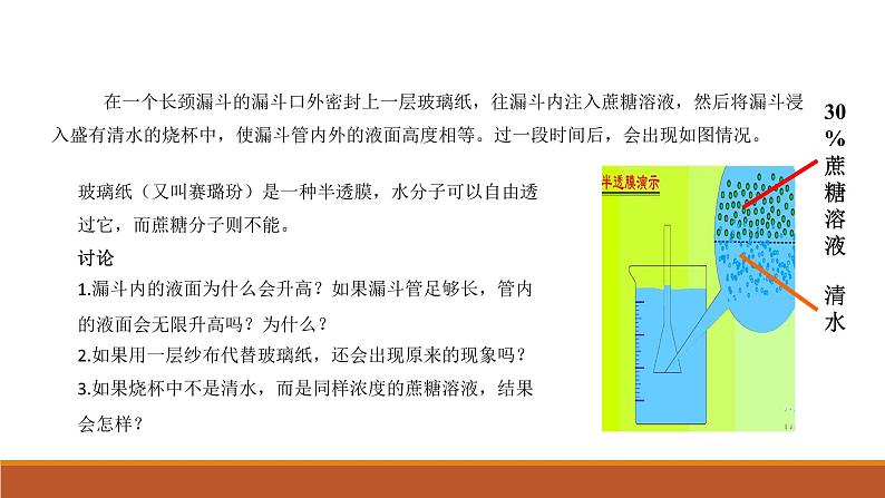 第四章 第1节被动运输（1）课件PPT第3页