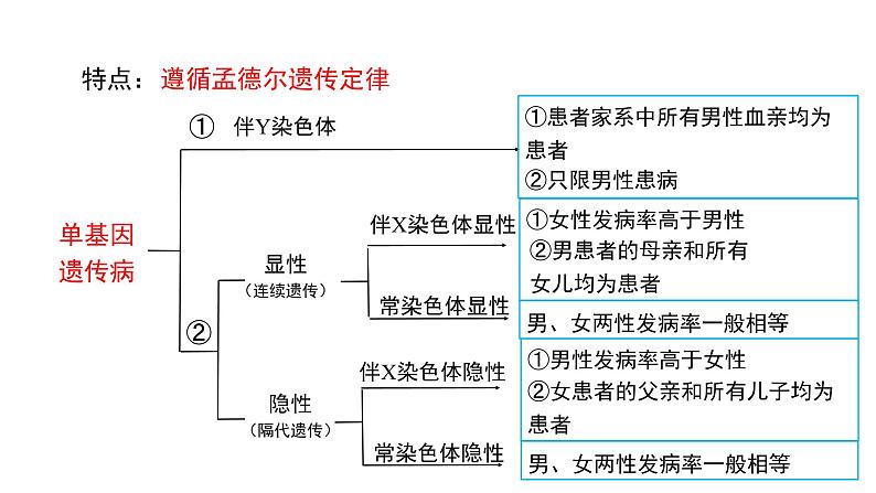 5.3 人类遗传病课件PPT07