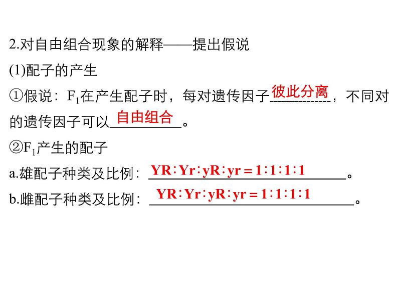 人教新课标高中生物必修二  1.2孟德尔的豌豆杂交实验（二）课件05