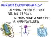 人教新课标高中生物必修二  3.1DNA是主要的遗传物质 课件