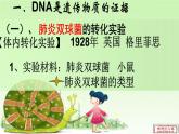 人教新课标高中生物必修二  3.1DNA是主要的遗传物质 课件