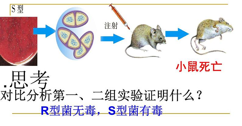 人教新课标高中生物必修二  3.1DNA是主要的遗传物质 课件第8页