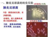 人教新课标高中生物必修二  3.1DNA是主要的遗传物质 课件