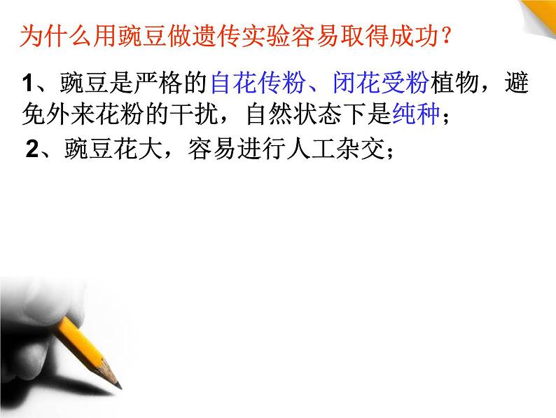 人教新课标高中生物必修二  1.1孟德尔的豌豆杂交实验（一）课件第8页