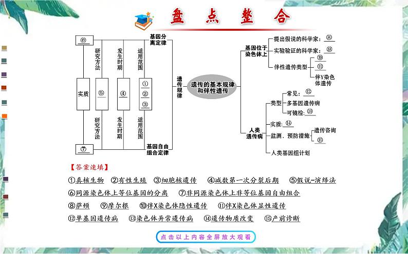 高考生物专题复习 遗传的基本规律专题复习课件PPT第3页