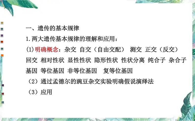 高考生物专题复习 遗传的基本规律专题复习课件PPT第4页