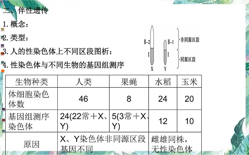 高考生物专题复习 遗传的基本规律专题复习课件PPT第5页