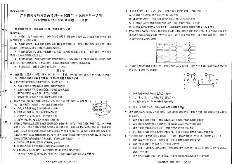 2021-2022-1高三12月联考 生物试卷第1页