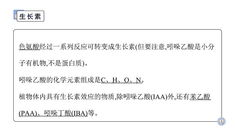 2022届高三生物二轮复习课件：专题十一植物的激素调节第4页