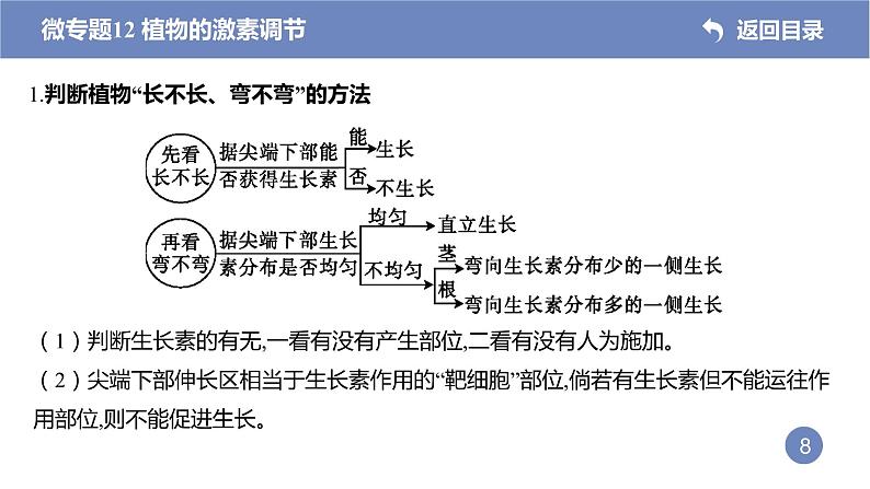 2022届高三生物二轮复习课件：专题十一植物的激素调节第8页