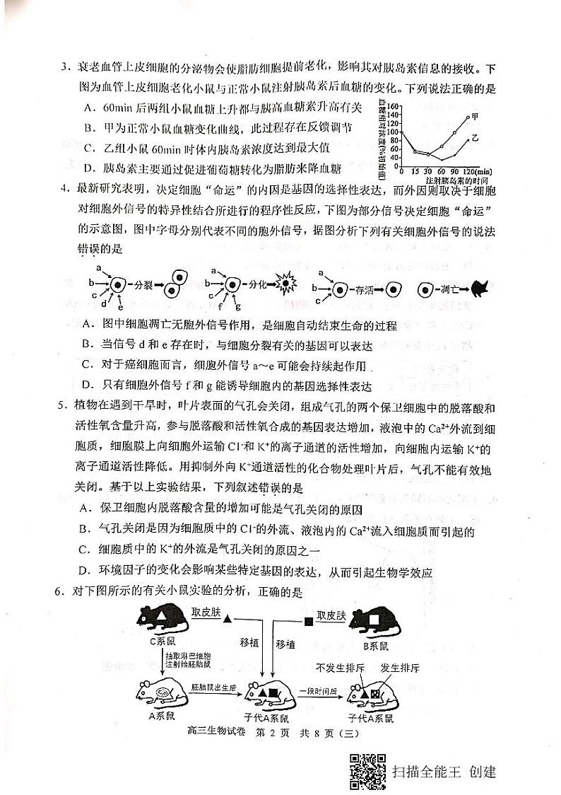 河西三模生物试卷第2页