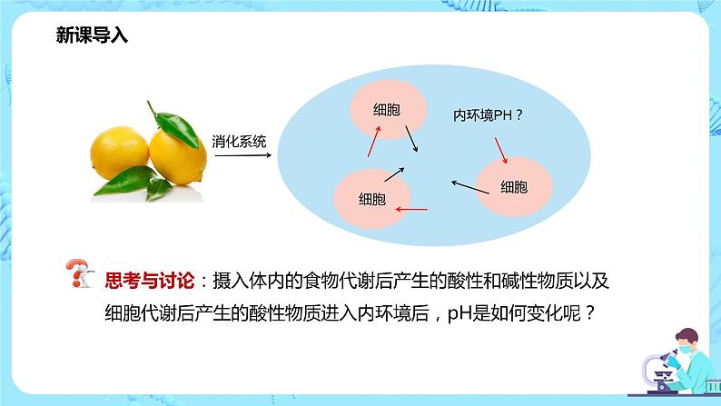 第二节《内环境的稳态》课件+教案04