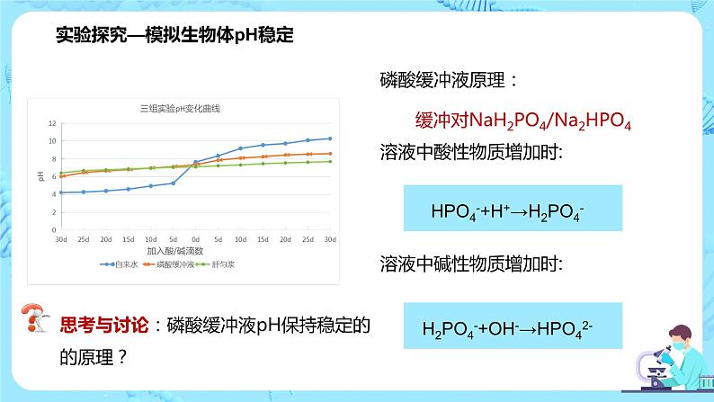 第二节《内环境的稳态》课件+教案08