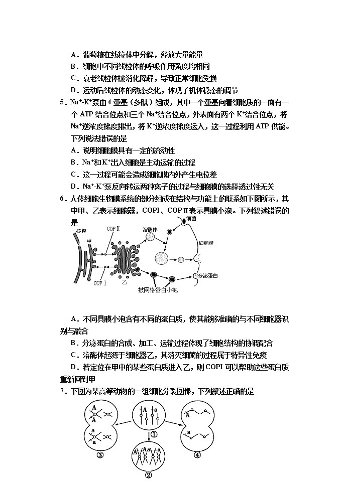 天津市部分区2022届高三下学期质量检查调查(一)生物试题无答案第2页