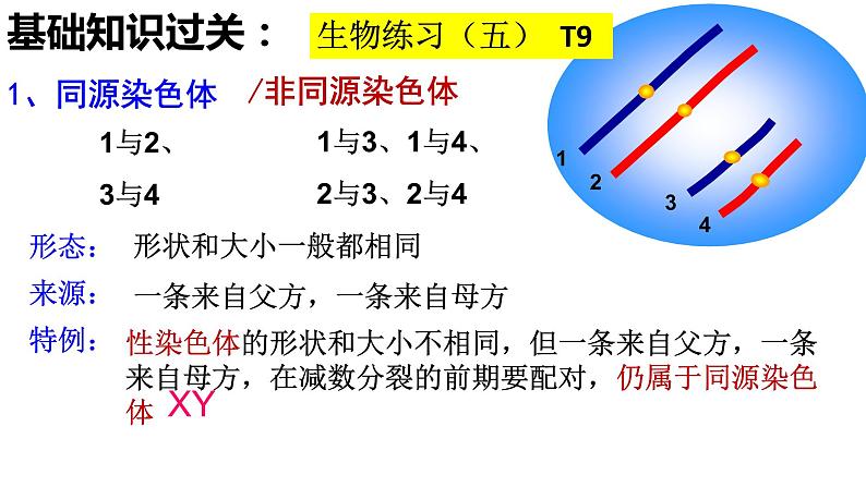 2.1受精作用课件PPT第1页